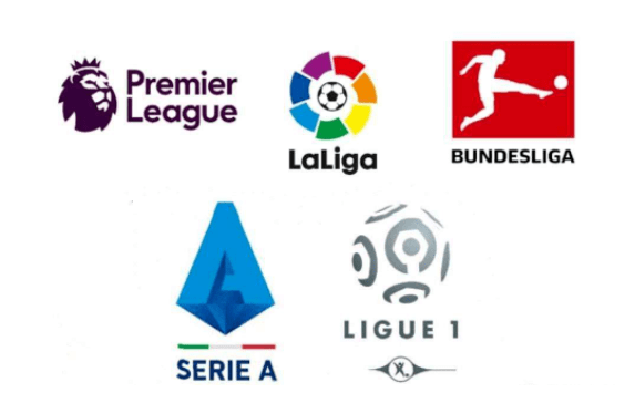 迅猛发展已 迅猛发展已